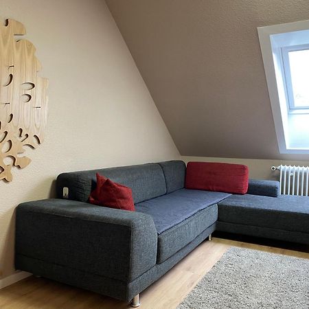 S-Villa Apartments Im Schwarzwald シルタッハ エクステリア 写真