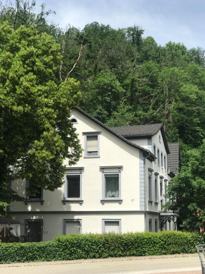 S-Villa Apartments Im Schwarzwald シルタッハ エクステリア 写真