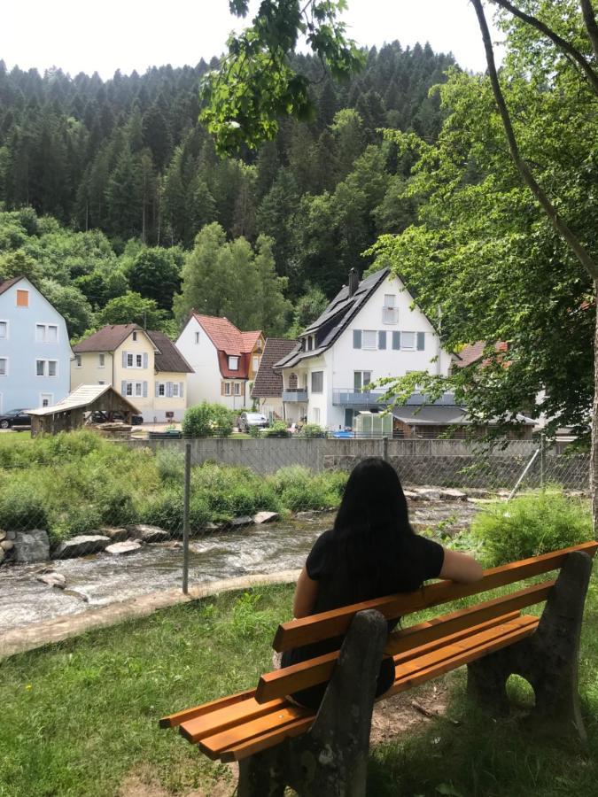 S-Villa Apartments Im Schwarzwald シルタッハ エクステリア 写真