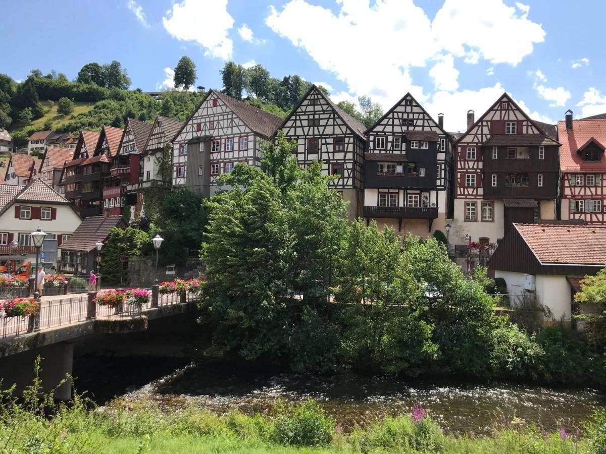 S-Villa Apartments Im Schwarzwald シルタッハ エクステリア 写真
