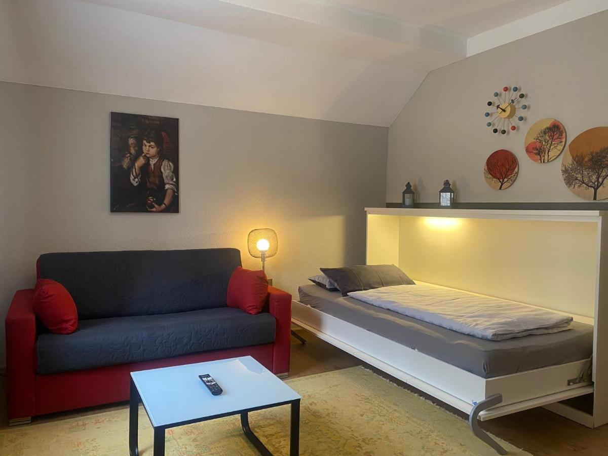S-Villa Apartments Im Schwarzwald シルタッハ エクステリア 写真