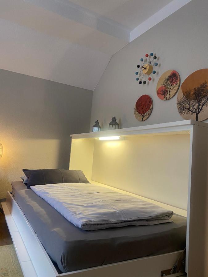 S-Villa Apartments Im Schwarzwald シルタッハ エクステリア 写真