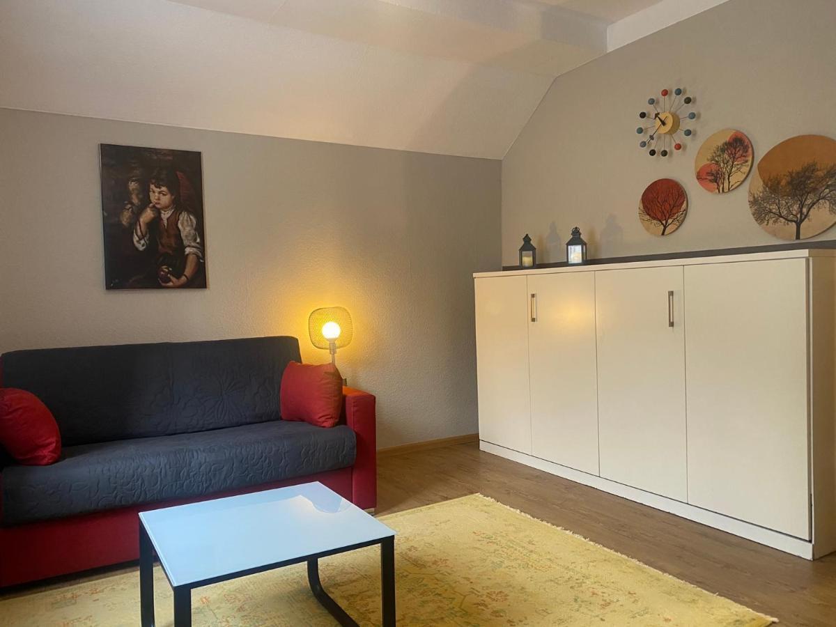 S-Villa Apartments Im Schwarzwald シルタッハ エクステリア 写真