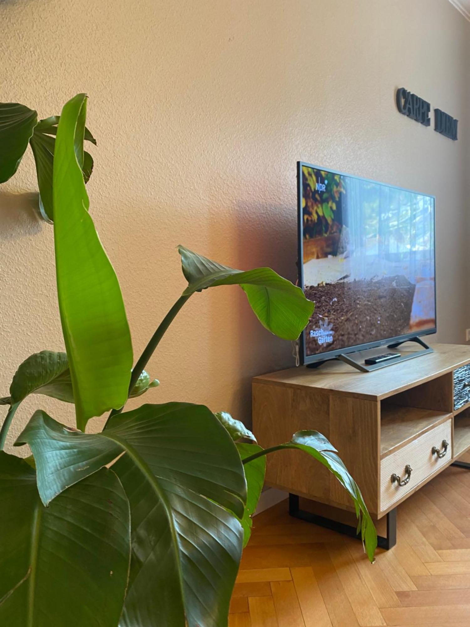 S-Villa Apartments Im Schwarzwald シルタッハ エクステリア 写真